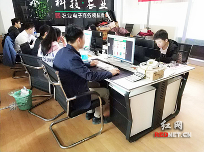 輸血變造血 衡陽市雁峰區以計算機技術培訓為抓手，走深走實產業扶貧路