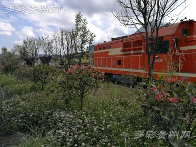 以綠為主以花為美 水鋼舊貌換新顏--六盤水市加大力度改善首鋼水鋼廠區(qū)環(huán)境打造“花園式工廠”